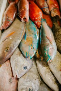 A colorful array of fresh fish displayed at a traditional Bali market, highlighting variety and freshness.
